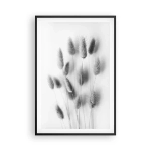 Poster în ramă neagră - Pufoșenia ierbii - 61x91 cm
