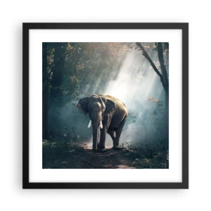 Poster în ramă neagră - O plimbare liniștită - 40x40 cm