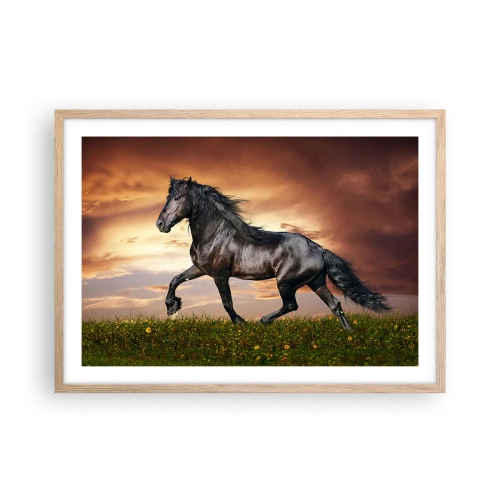 Poster în ramă de stejar deschis - Prințul negru - 70x50 cm