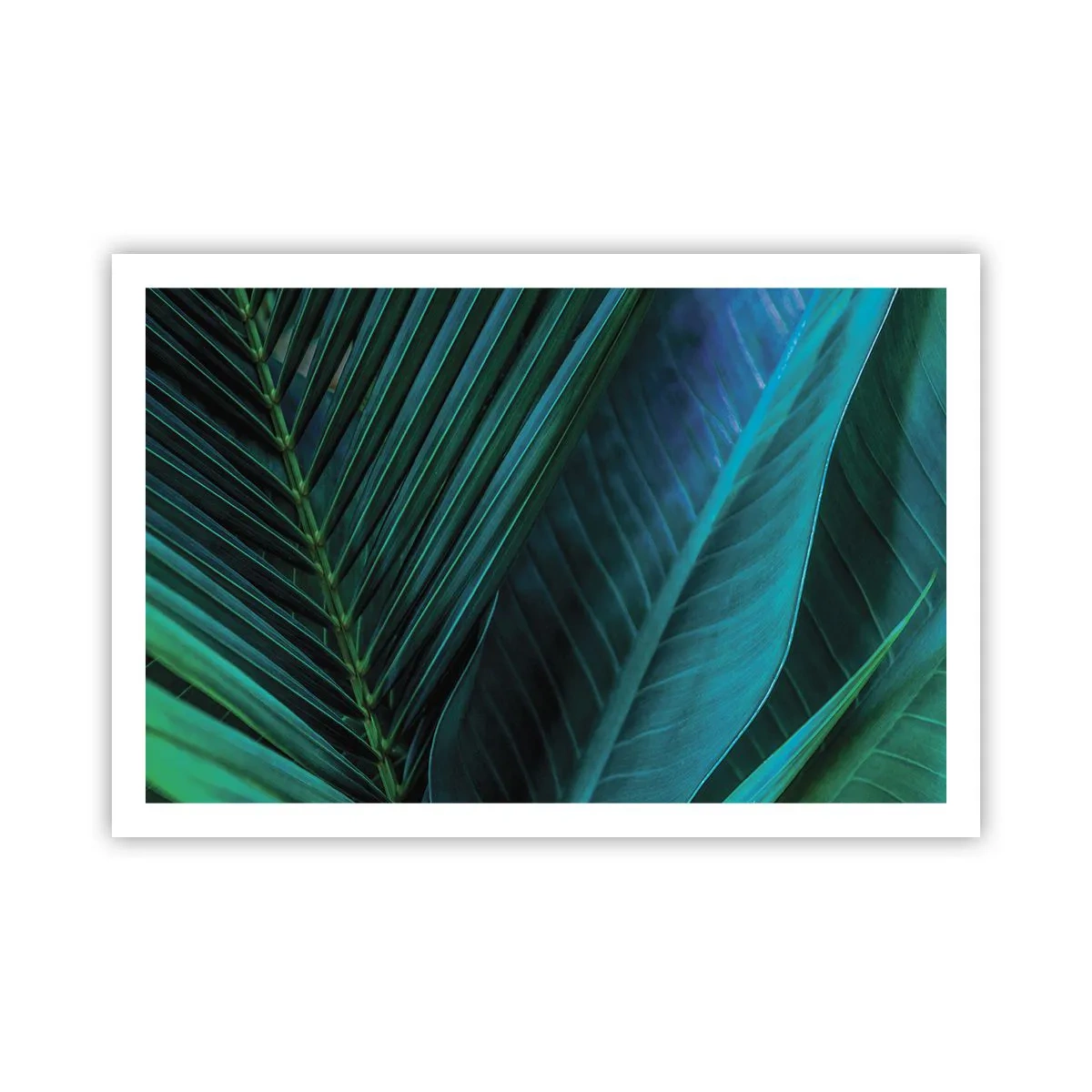 Poster - Anatomia verdelui - 91x61 cm