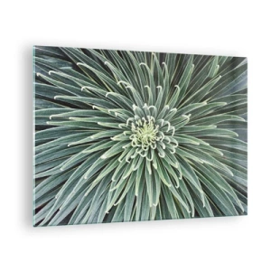 Tablou pe sticlă - Rozetă simetrică de frunze verzi în macrofotografie - 70x50cm - Nașterea unei stele - Decorațiune modernă pentru perete pentru living și dormitor ARTTOR
