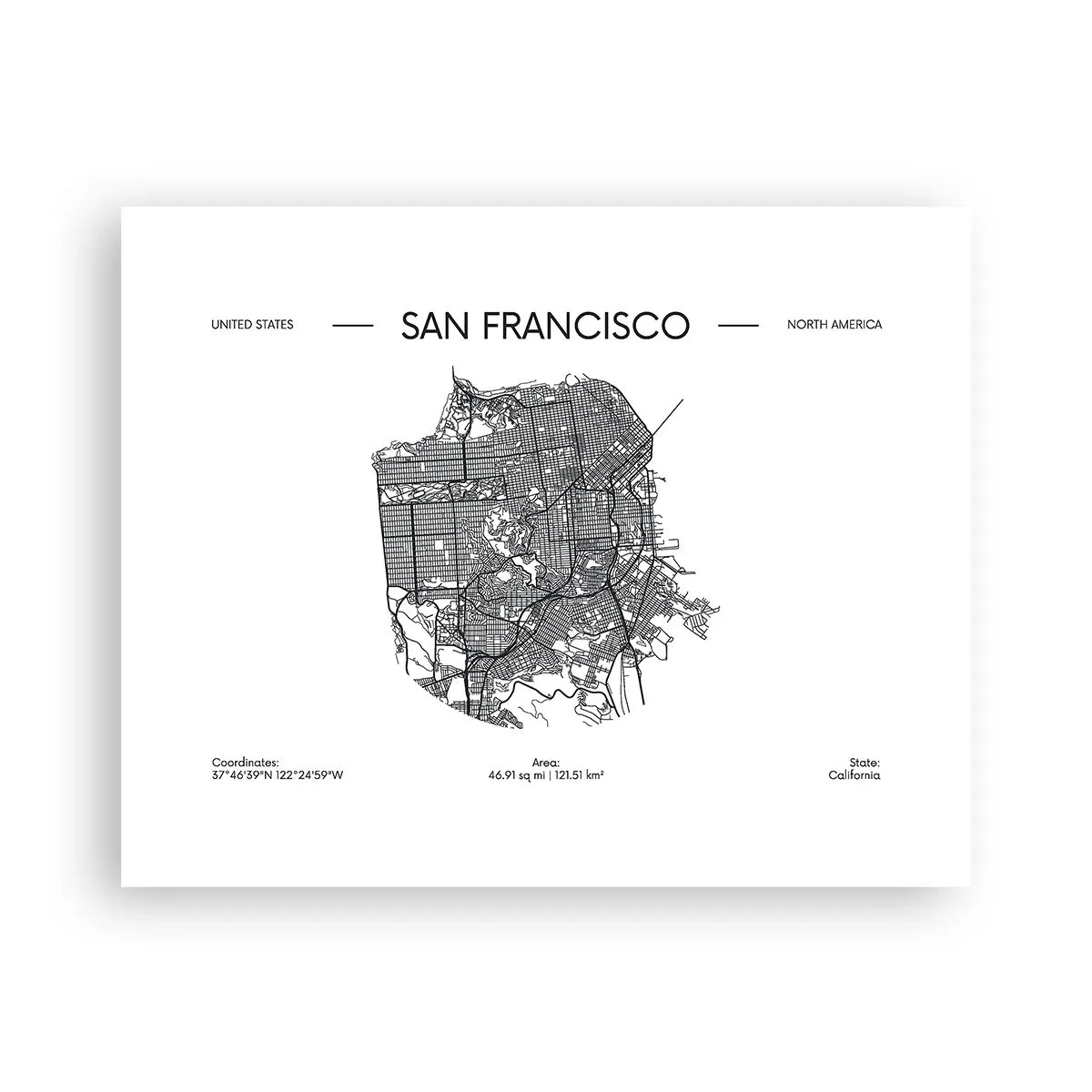 Poster - Anatomia San Francisco - 50x40 cm