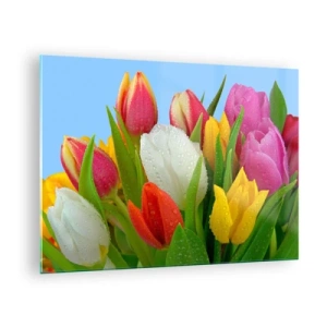 Tablou pe sticlă - Lalele colorate acoperite cu picături de rouă pe un fundal albastru - 70x50cm - Un curcubeu floral în picături de rouă - Decorațiune modernă pentru perete pentru living și dormitor ARTTOR