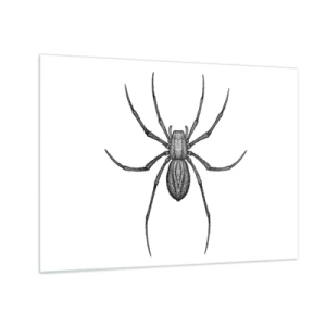 Tablou pe sticlă - Ilustrație în stil retro a unui păianjen negru pe fundal alb - 70x50cm - Precizie tulburătoare - Decorațiune modernă pentru perete pentru living și dormitor ARTTOR