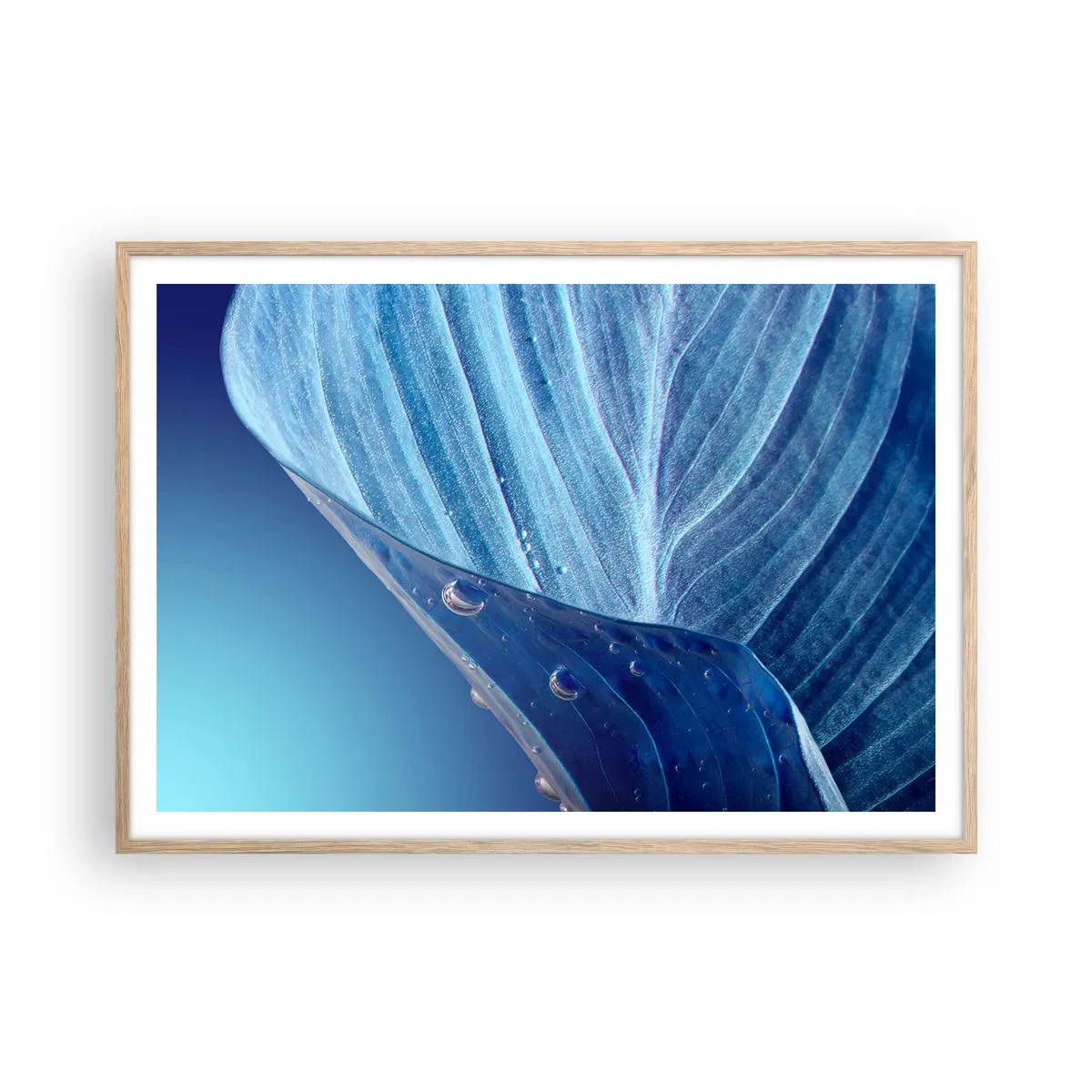Poster în ramă de stejar deschis - Picături ascunse de albastru - 100x70 cm