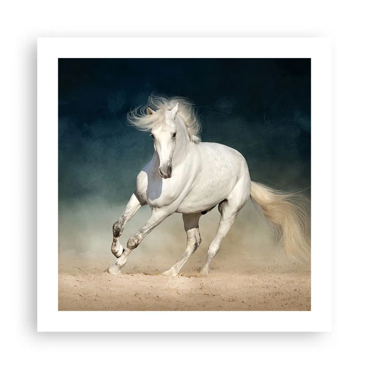 Poster - Libertate în stare pură - 50x50 cm