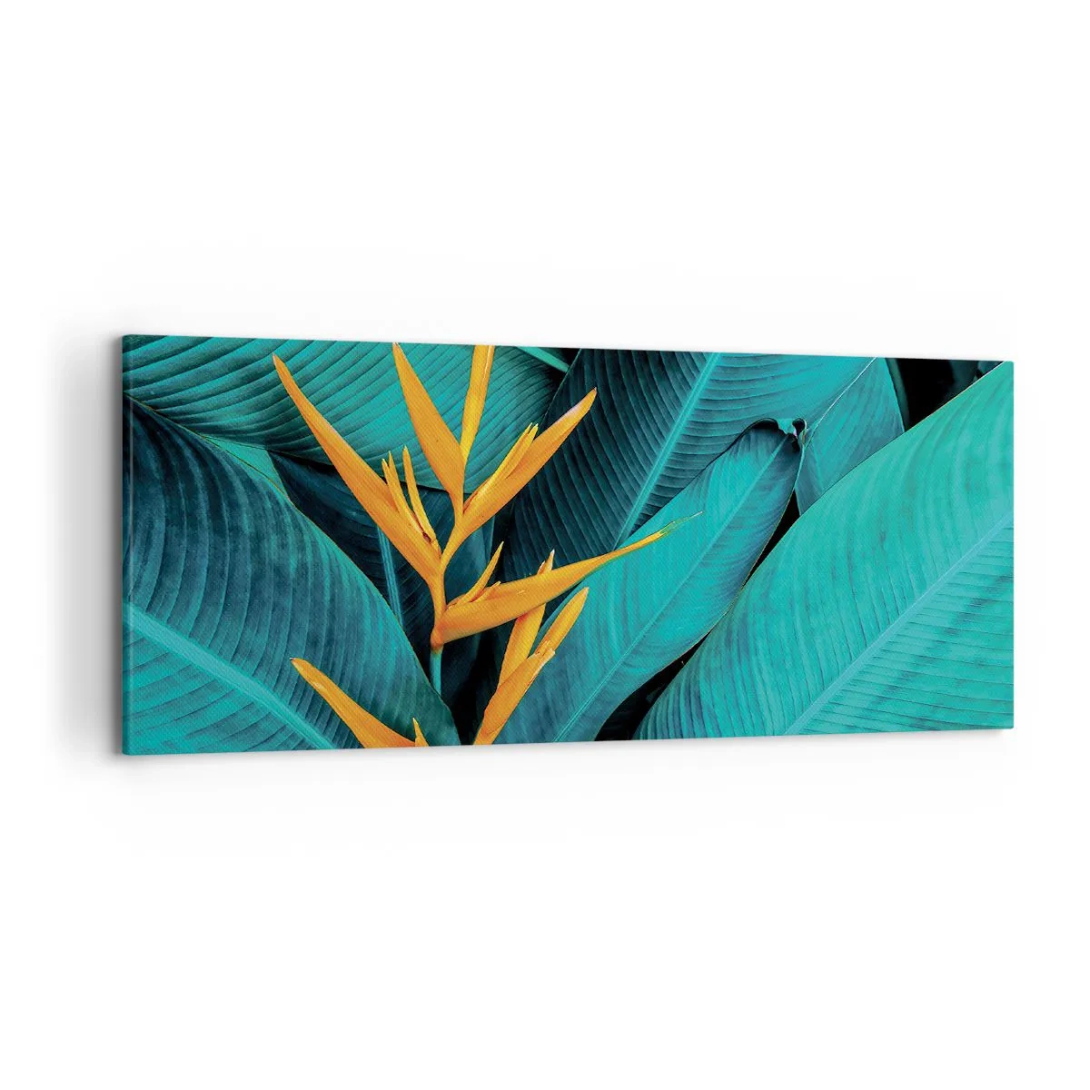 Tablou pe pânză - Floarea Edenului - 120x50 cm