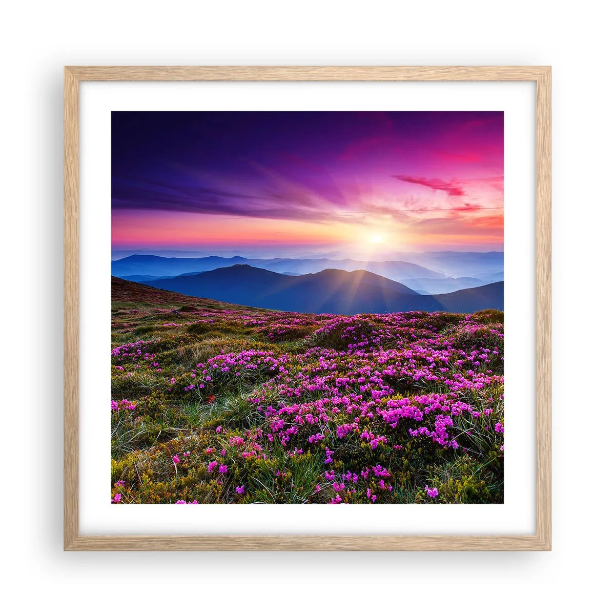 Poster în ramă de stejar deschis - Ierburile proaspete miroseau puternic - 50x50 cm