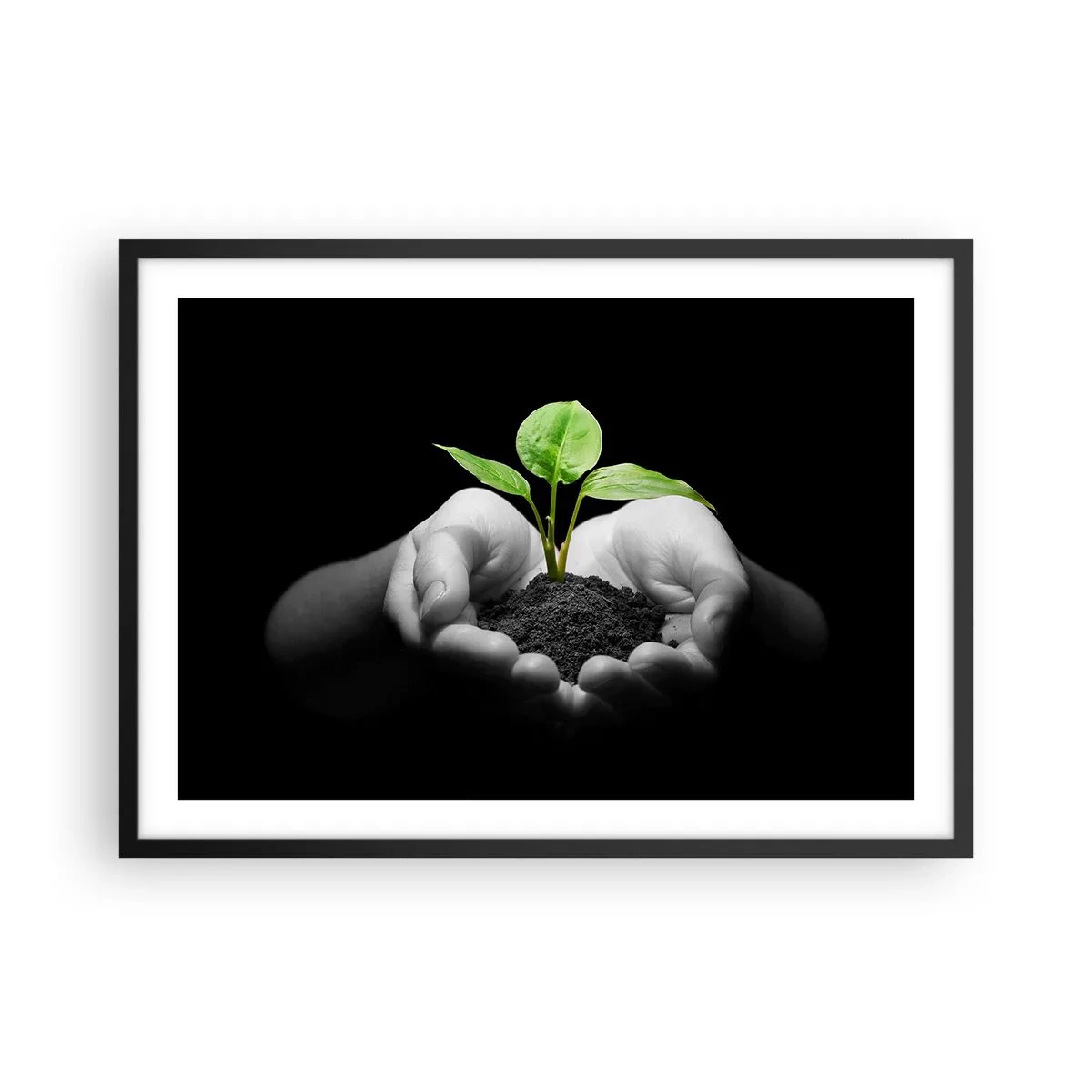 Poster în ramă neagră - Iubesc natura, o protejez - 70x50 cm