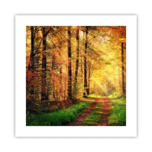 Poster - Tăcere de aur de pădure - 40x40 cm