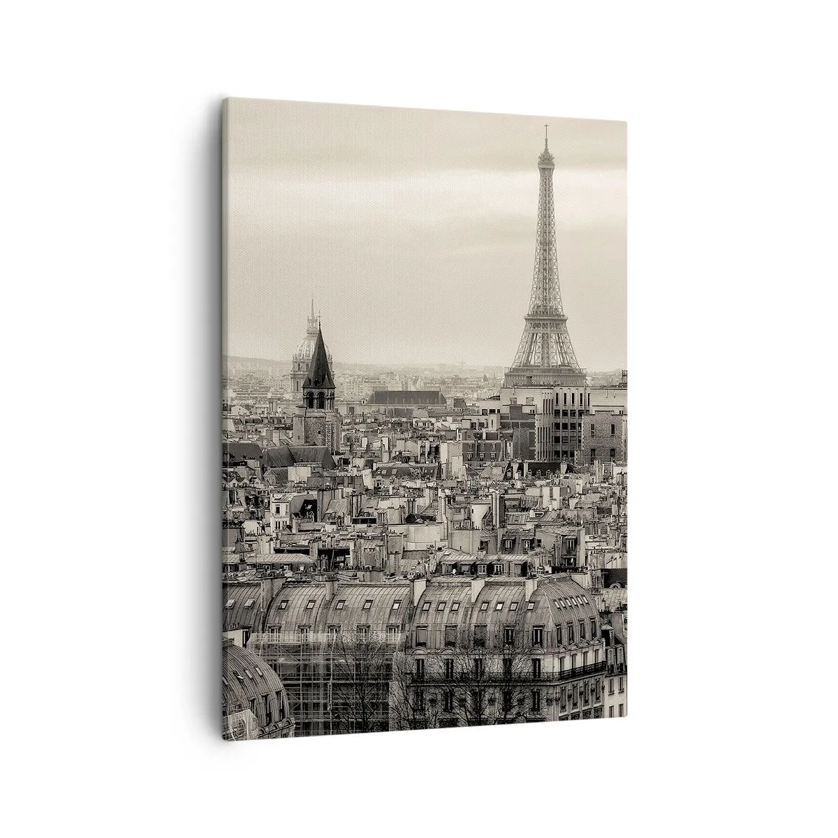 Tablou pe pânză - Deasupra acoperișurilor Parisului - 50x70 cm