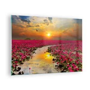 Tablou pe sticlă - Nuferi roz pe un lac la apus - 70x50cm - Viața secretă a lacului - Decorațiune modernă pentru perete pentru living și dormitor ARTTOR