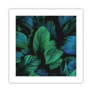 Poster - Traficul verde - 40x40 cm