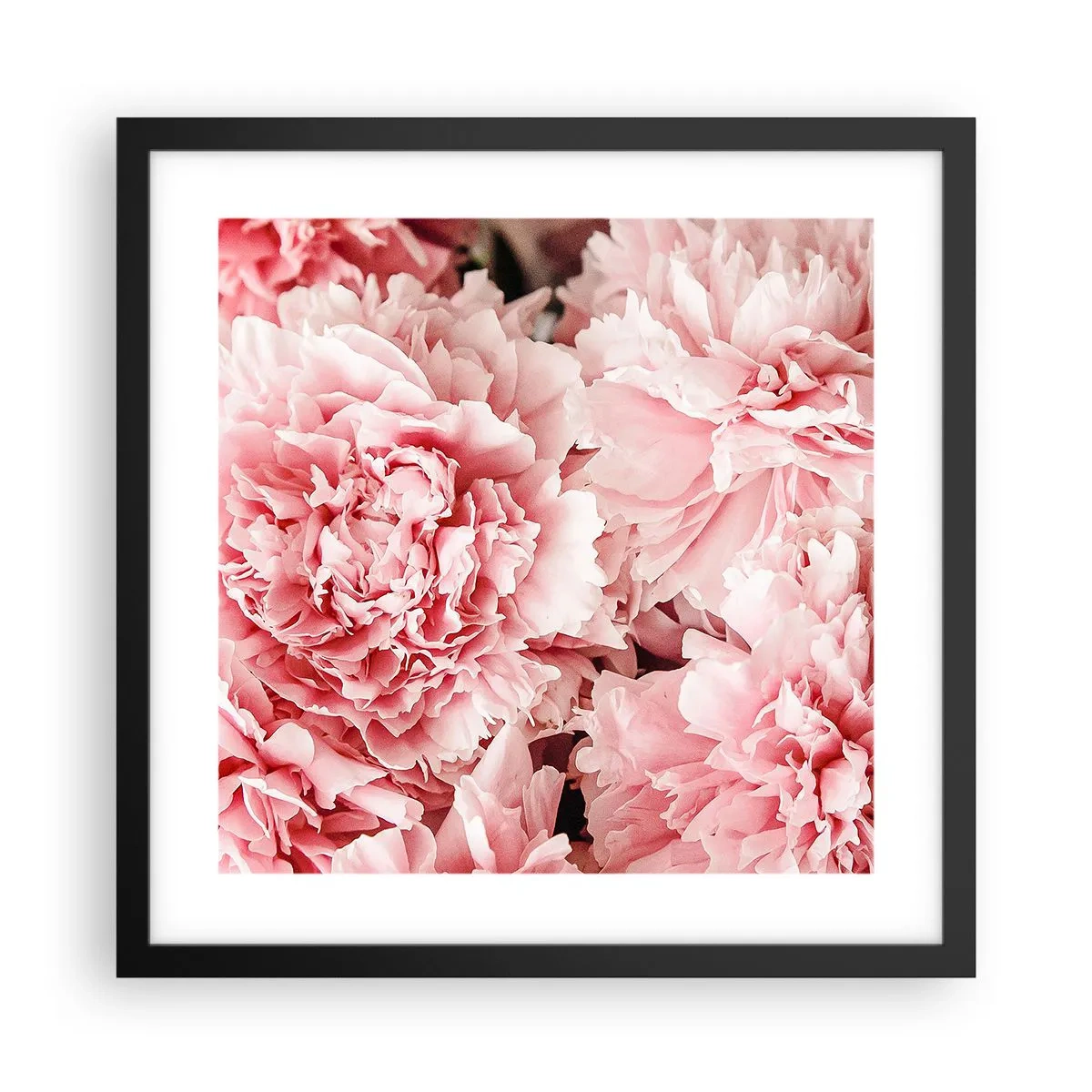 Poster în ramă neagră - Visul roz - 40x40 cm
