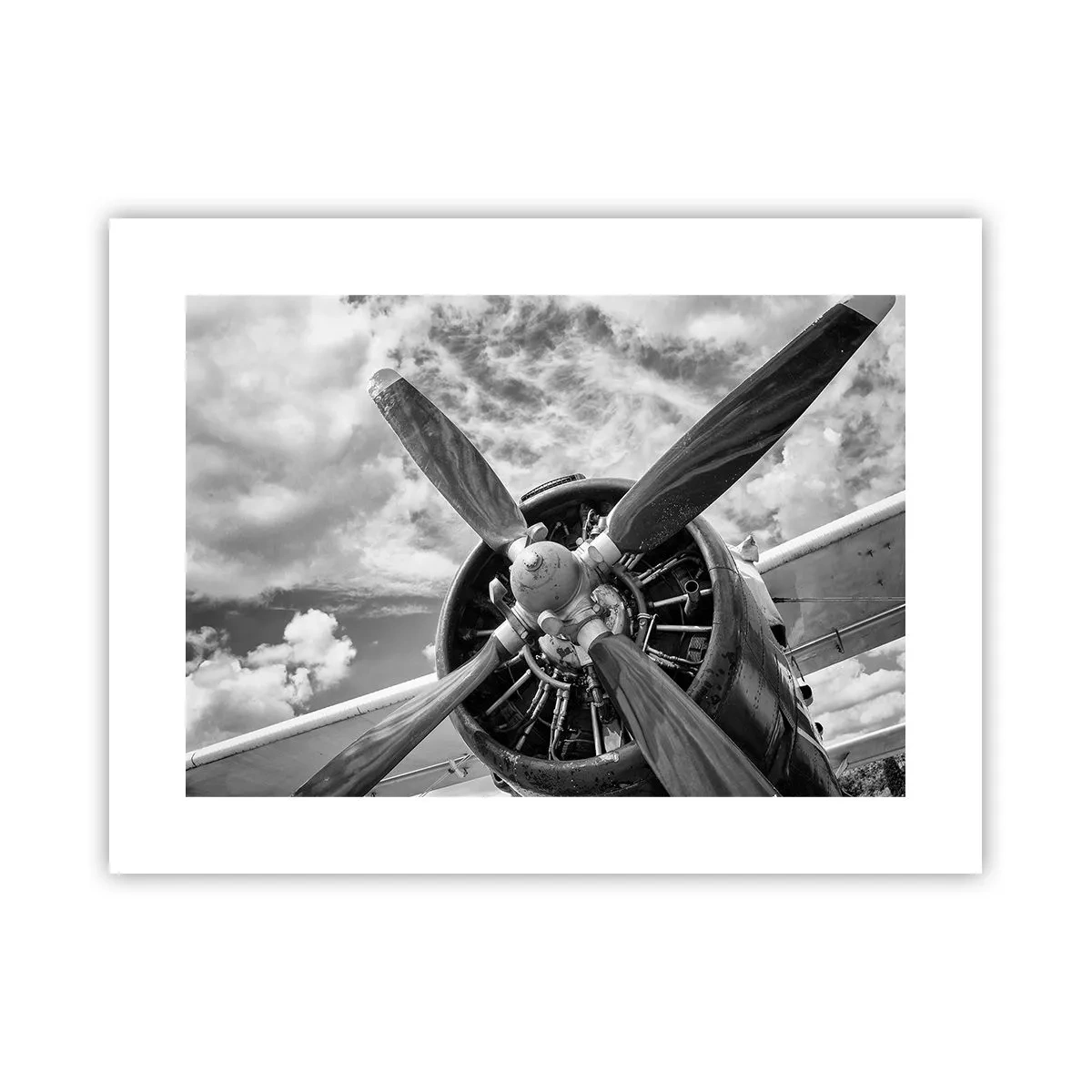 Poster - Cuceritorul cerului - 40x30 cm