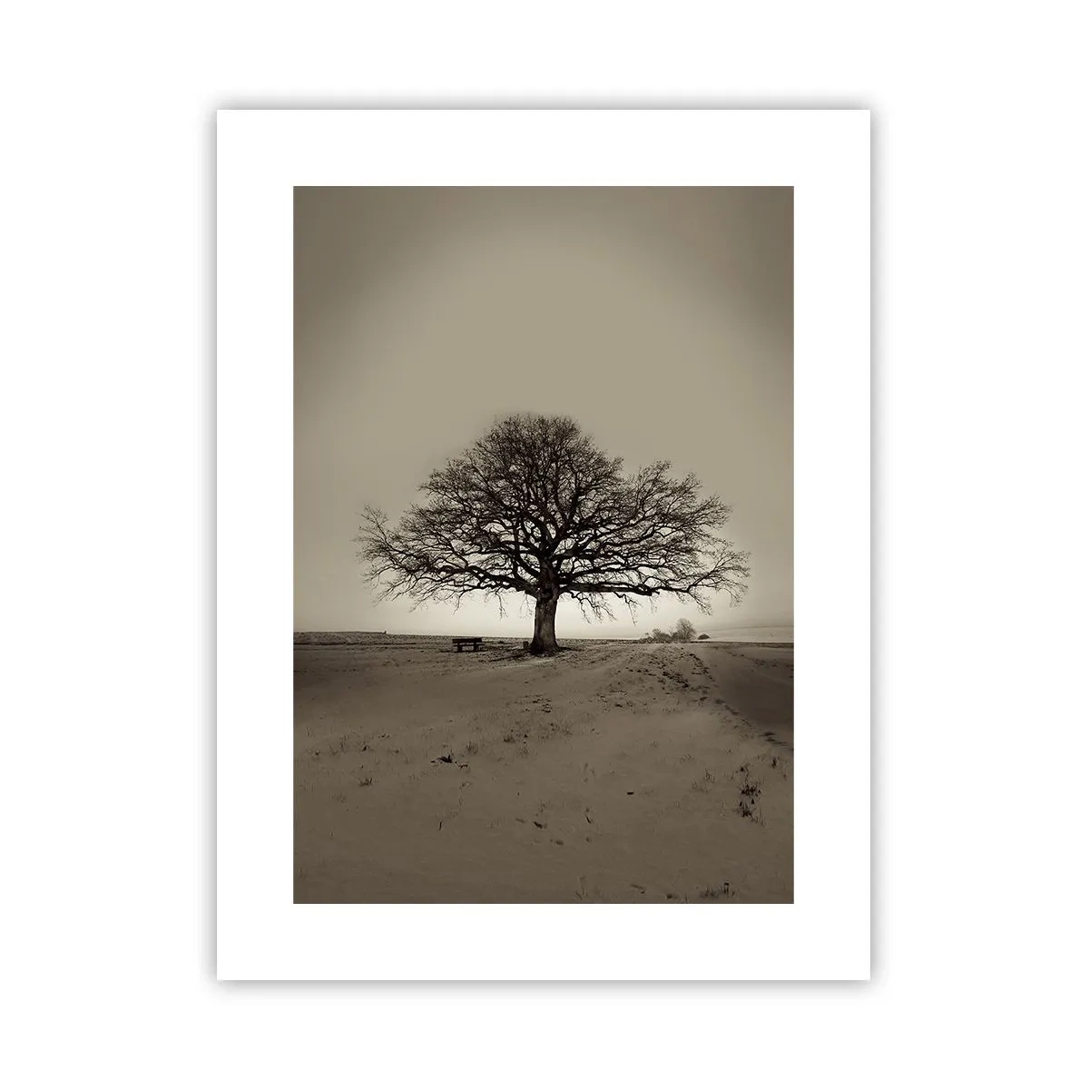 Poster - De aici până în veșnicie - 30x40 cm