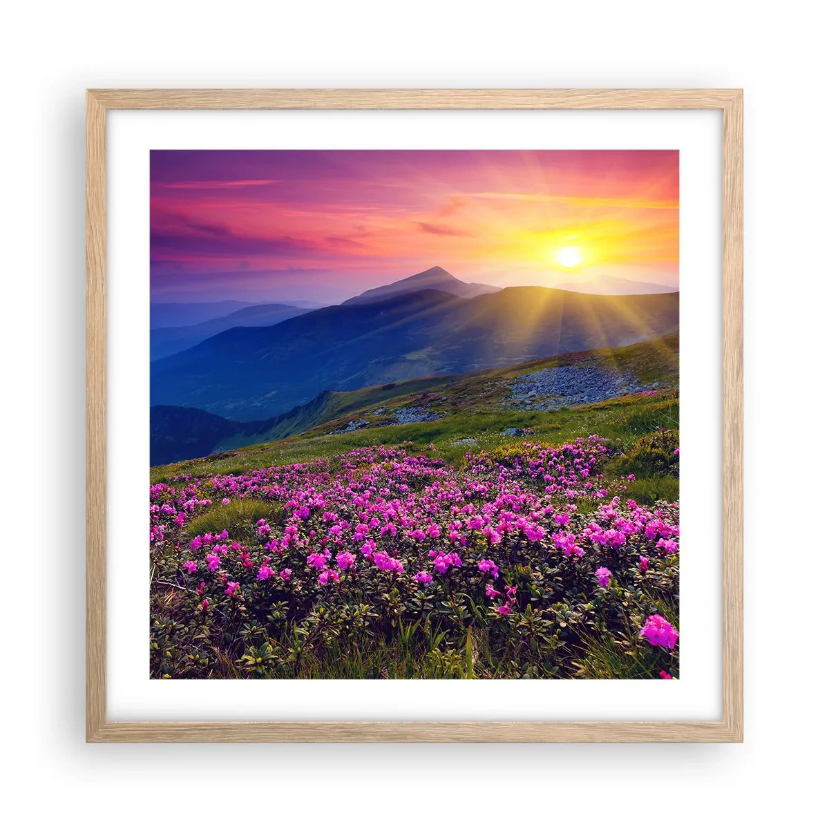 Poster în ramă de stejar deschis - ... Și peste tot în jur se simte un miros de jneapăn și parfum de ierburi... - 50x50 cm