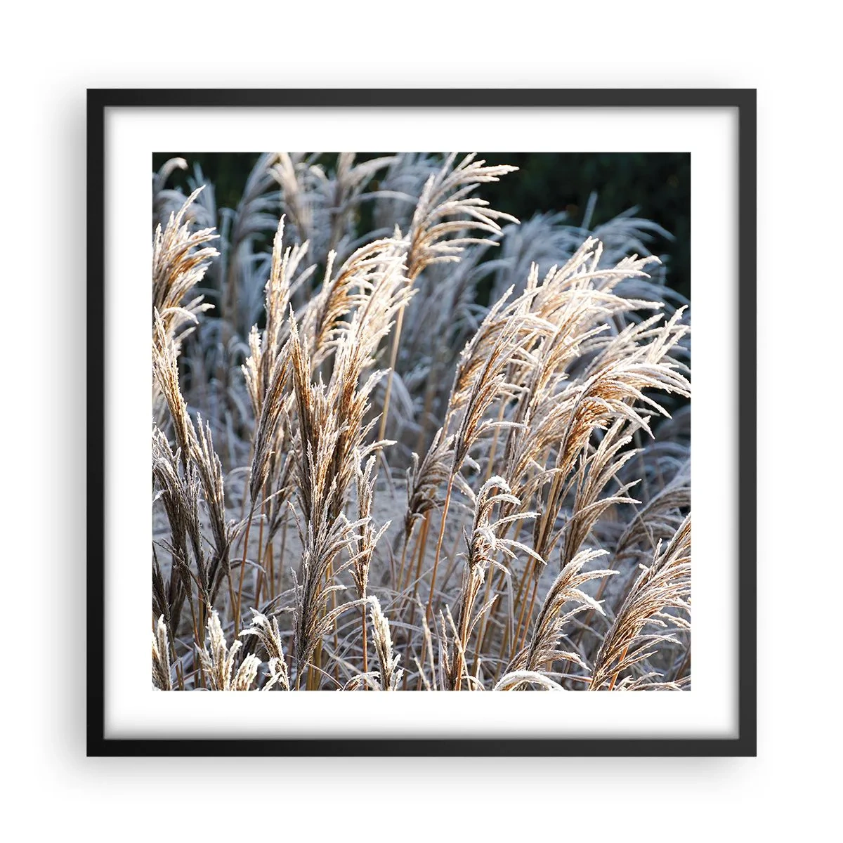 Poster în ramă neagră - Împodobite cu brumă - 50x50 cm