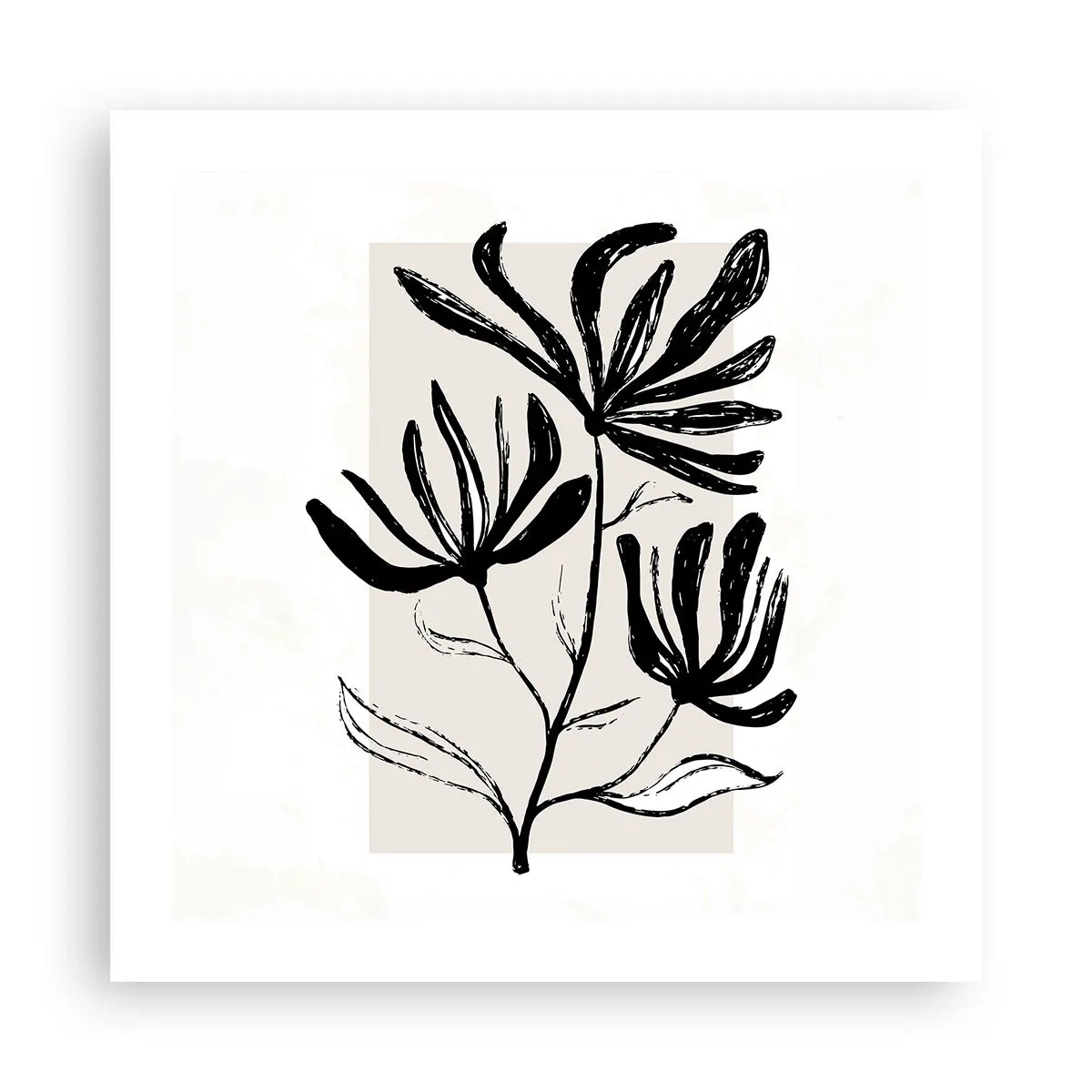 Poster - Schiță pentru ierbar - 50x50 cm