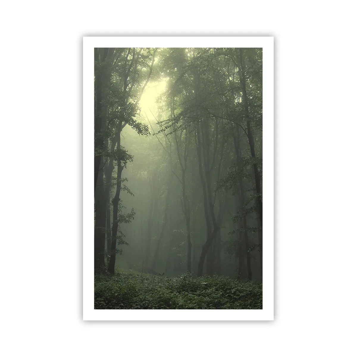 Poster - Înainte să se trezească - 61x91 cm