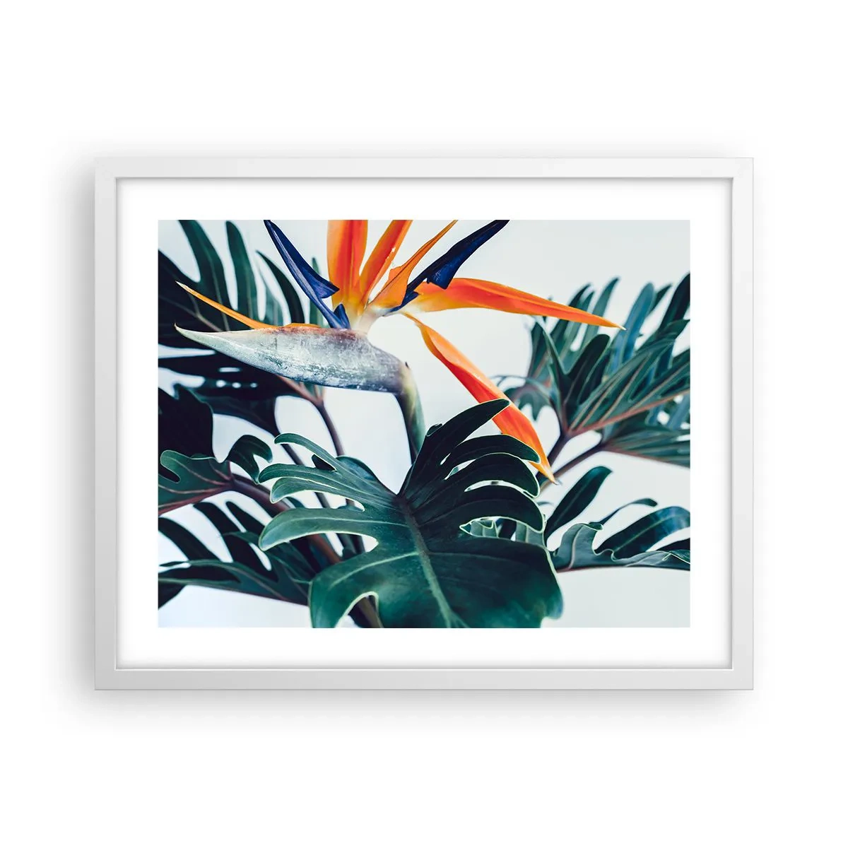 Poster în ramă albă - Tufiș sau pasăre? - 50x40 cm