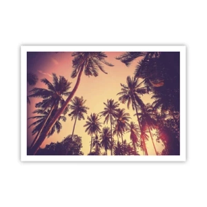 Poster - Variație tropicală - 100x70 cm
