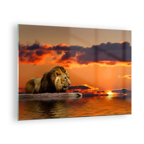 Tablou pe sticlă - Un leu pe fundalul soarelui care apune - 70x50cm - Regele naturii - Decorațiune modernă pentru perete pentru living și dormitor ARTTOR