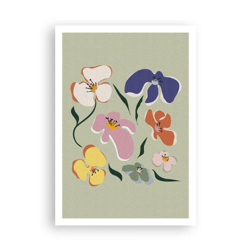 Poster - Panseluțe colorate - 70x100 cm