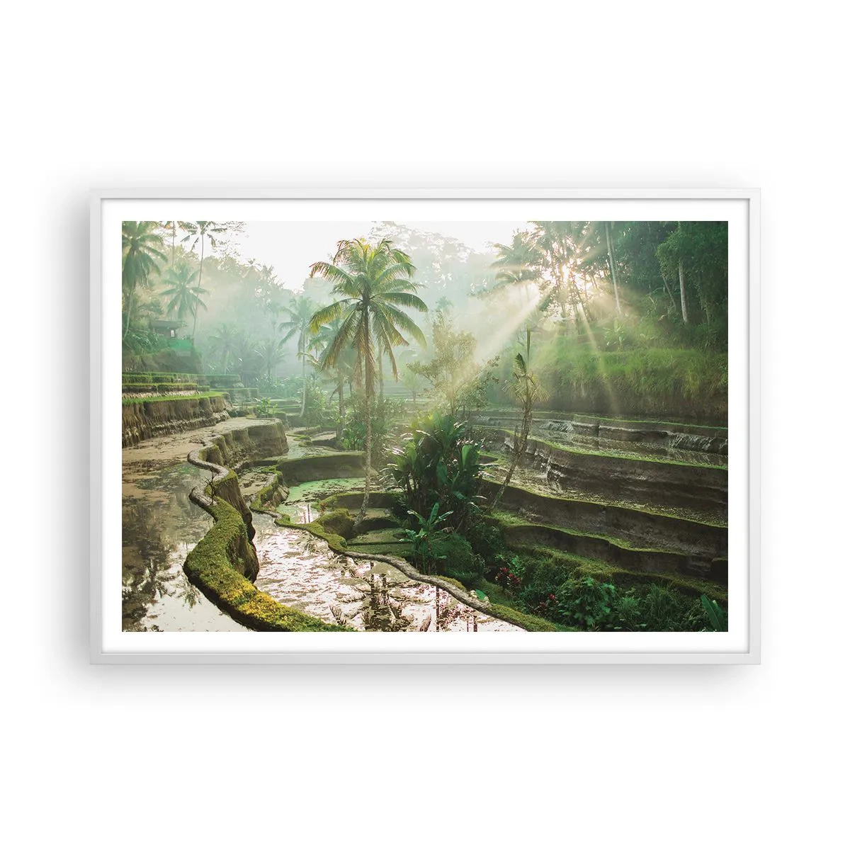 Poster în ramă albă - Crescând la soare - 100x70 cm