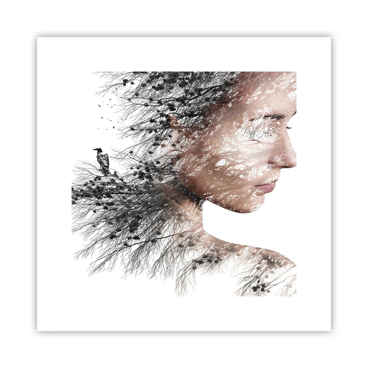 Poster - Spiritul pădurii - 30x30 cm