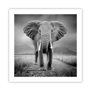 Poster - Gazda te salută - 50x50 cm