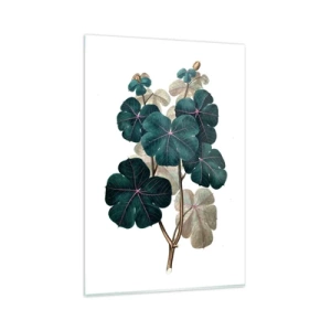 Tablou pe sticlă - Dintr-un vechi ierbar - 80x120 cm