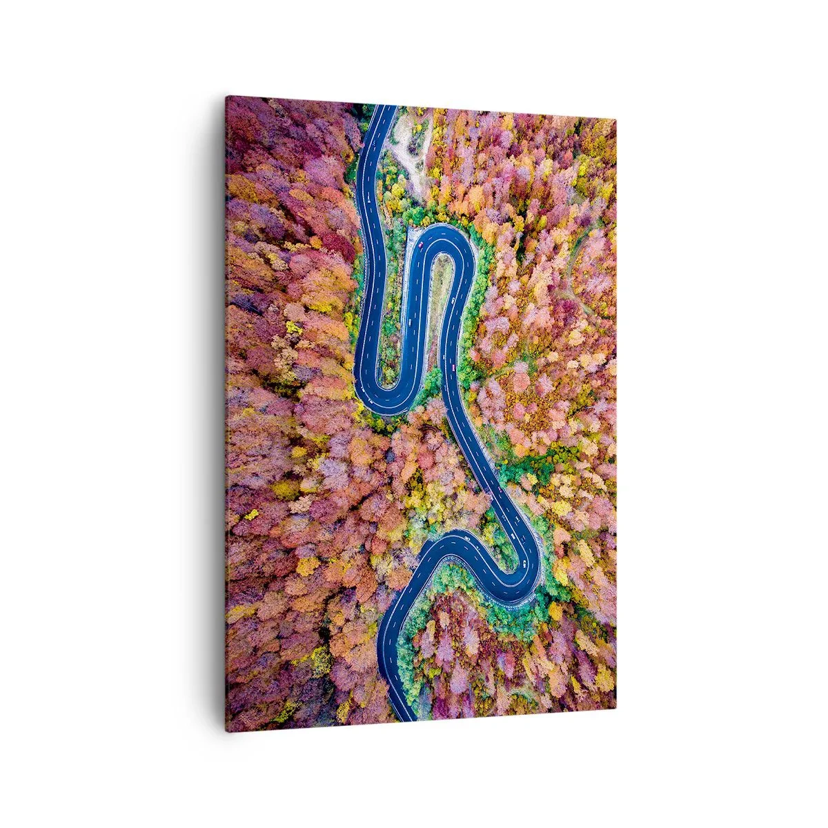 Tablou pe pânză - Un drum șerpuit prin pădure - 70x100 cm