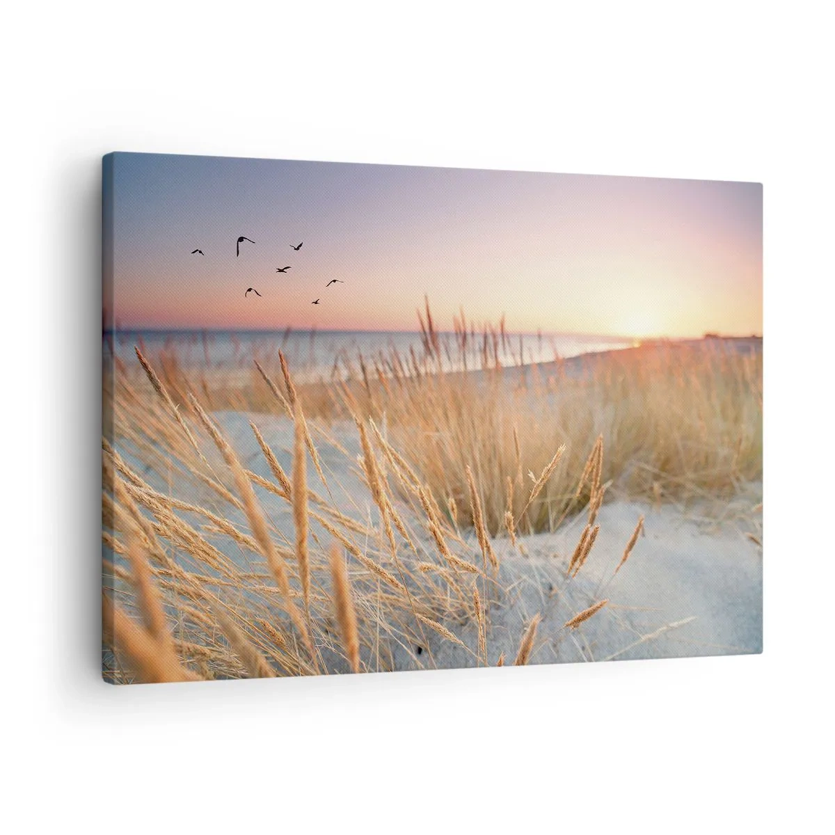 Tablou pe pânză Canvas - Plajă la apus cu ierburi înalte - 70x50cm - Cântec de leagăn baltic - Decorațiune modernă pentru perete pentru living și dormitor ARTTOR