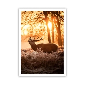 Poster - Visul unui vânător - 70x100 cm