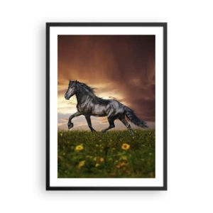 Poster în ramă neagră - Un cal negru galopează peste o pajiște în lumina soarelui care apune. - 50x70cm - Prințul negru - Decorațiune modernă pentru perete pentru living și dormitor ARTTOR