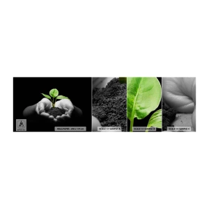Mostră de Tapet Standard Eco - Iubesc natura, o protejez - Natură, Viaţă, Plantă - 100x30 cm