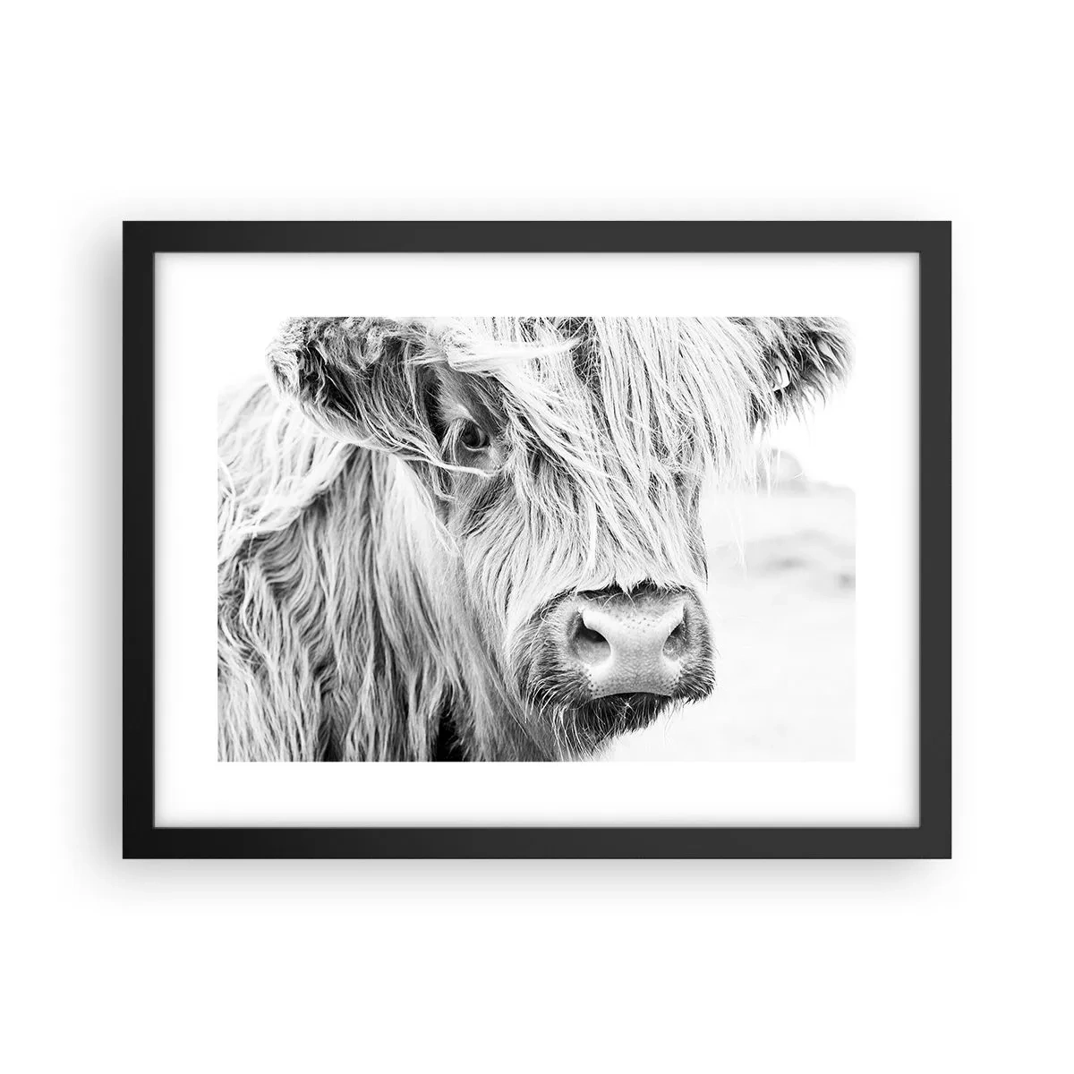 Poster în ramă neagră - Sălbăticie scoțiană - 40x30 cm