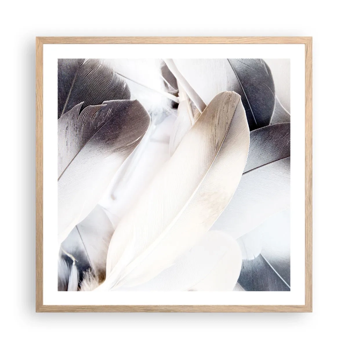 Poster în ramă de stejar deschis - Aproape angelice - 60x60 cm