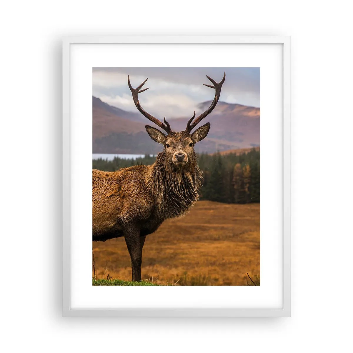 Poster în ramă albă - Măreția naturii - 40x50 cm