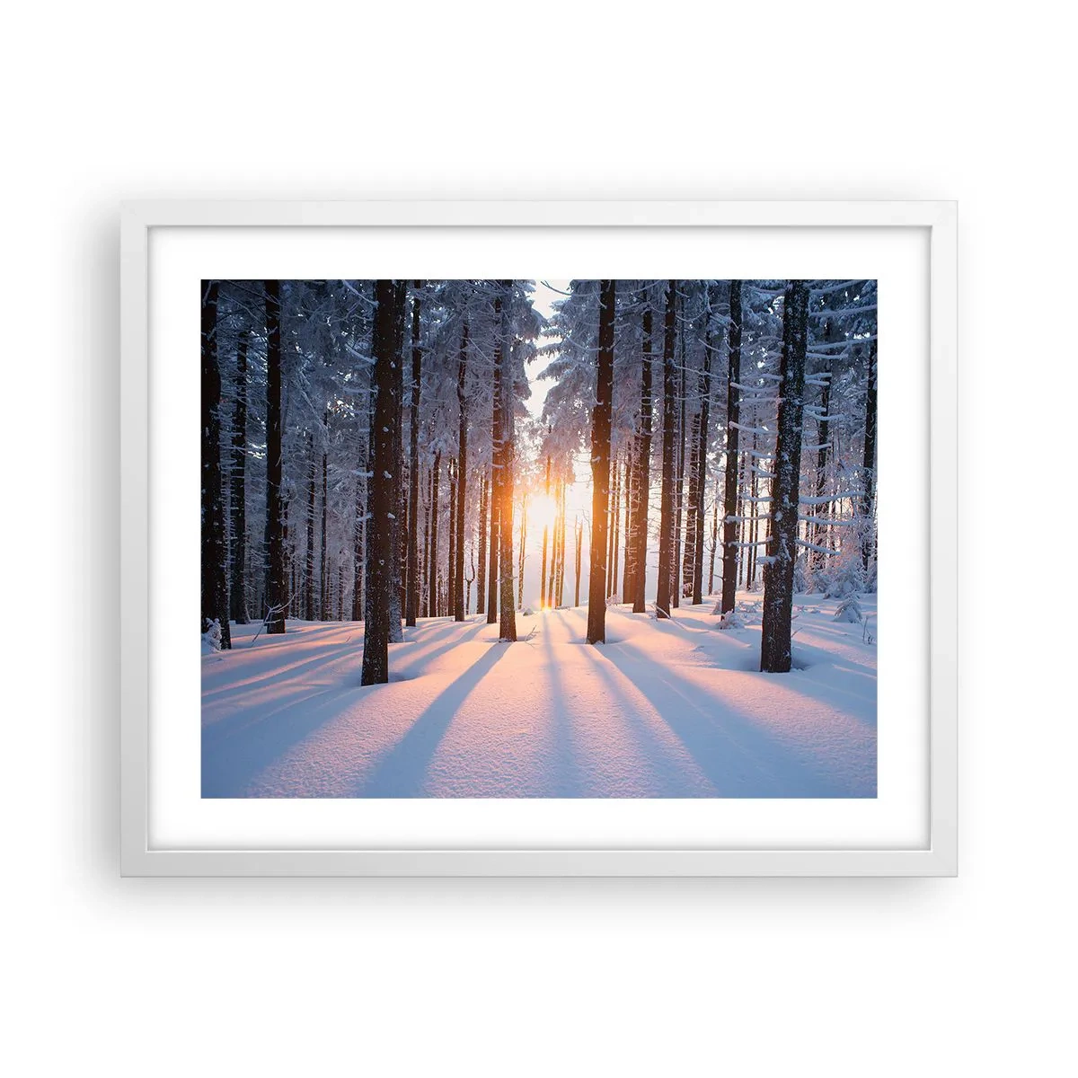 Poster în ramă albă - În mod clar în alb și negru - 50x40 cm
