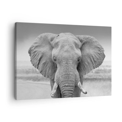 Tablou pe pânză Canvas - Portretul unui elefant în alb și negru - 70x50cm - Bun venit în lumea mea - Decorațiune modernă pentru perete pentru living și dormitor ARTTOR