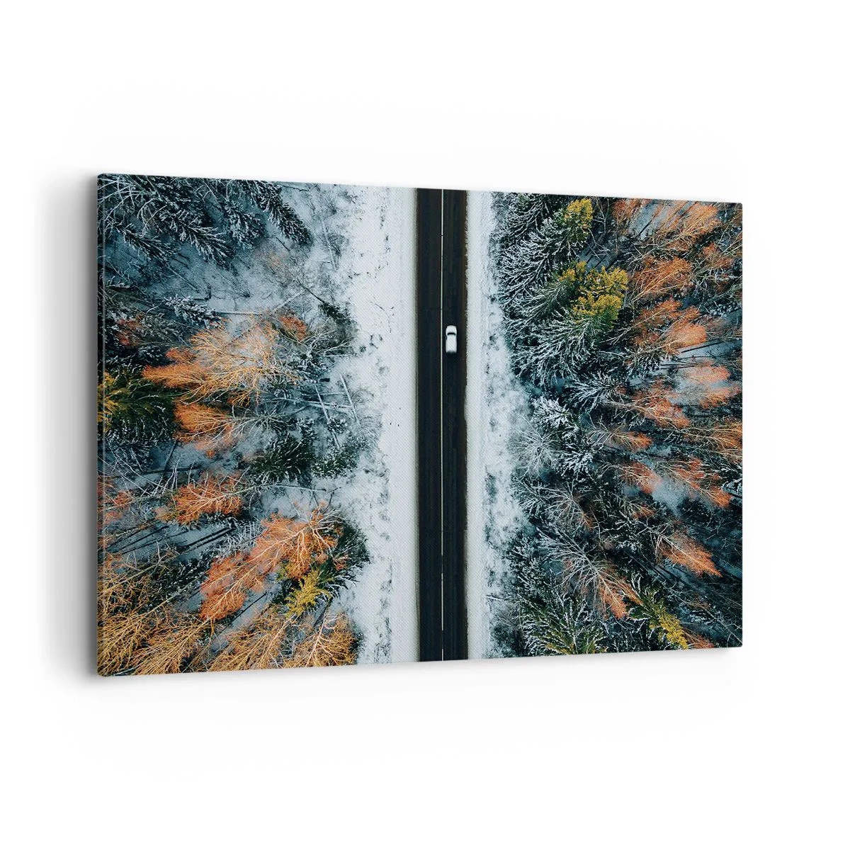 Tablou pe pânză - Prin pădurea de iarnă - 120x80 cm