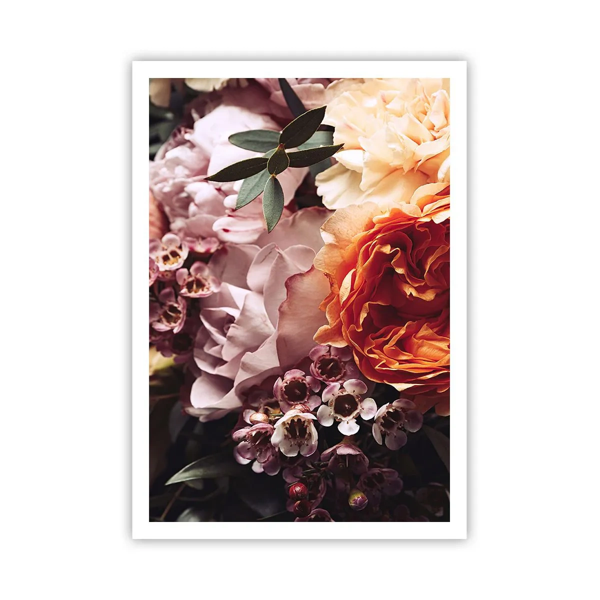 Poster - Înghesuite în frumusețe - 70x100 cm