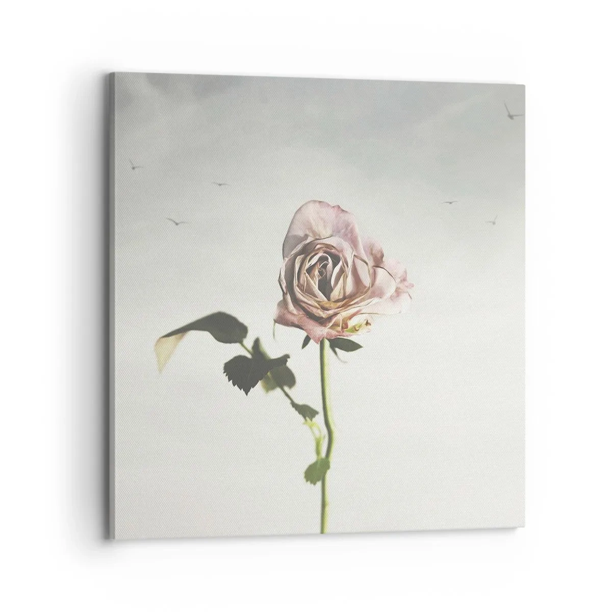 Tablou pe pânză - Primăvara binevenită - 70x70 cm