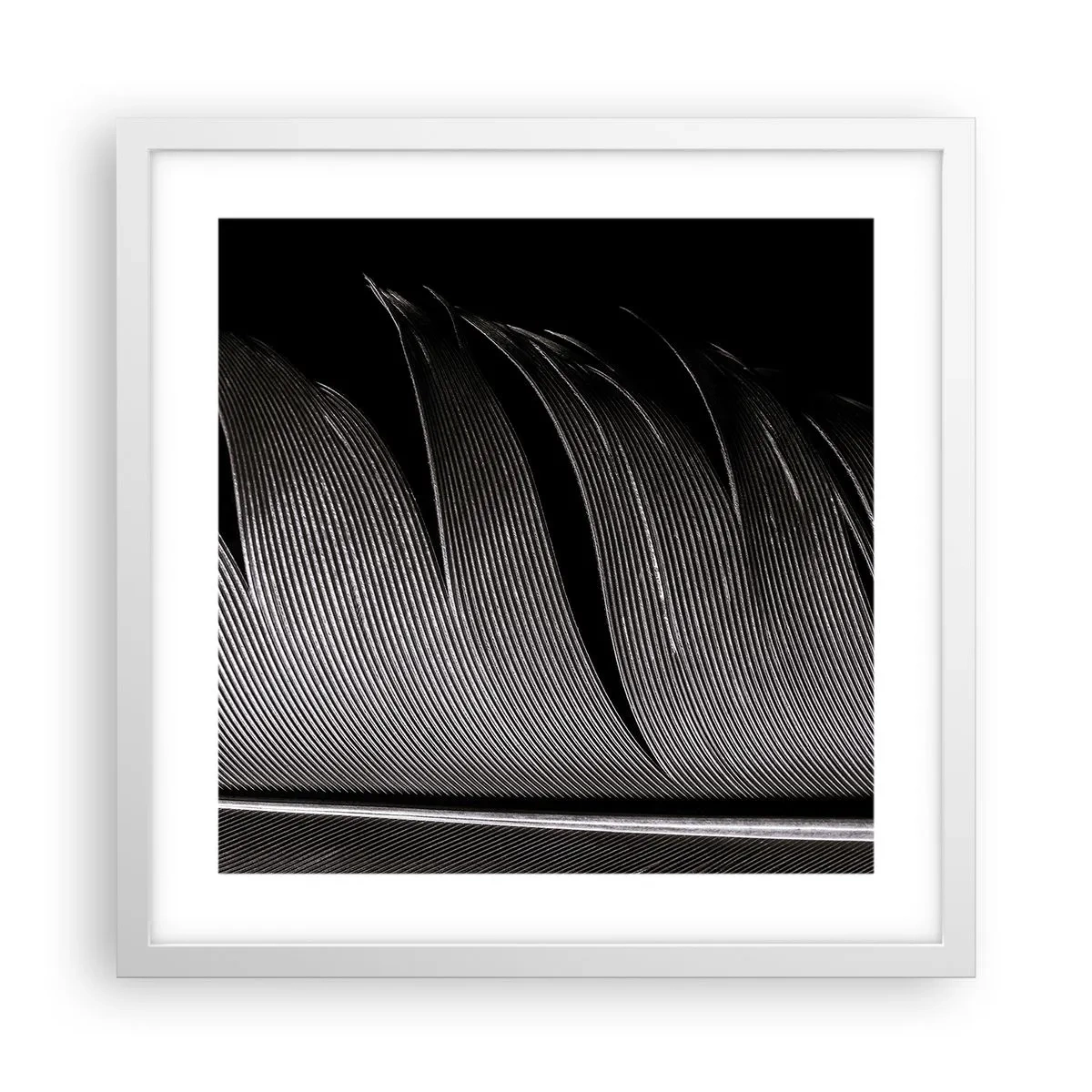 Poster în ramă albă - Pana - o construcție minunată - 40x40 cm