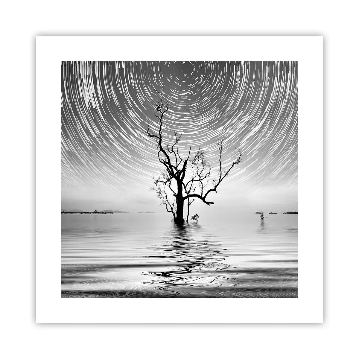 Poster - O simfonie a naturii - 40x40 cm