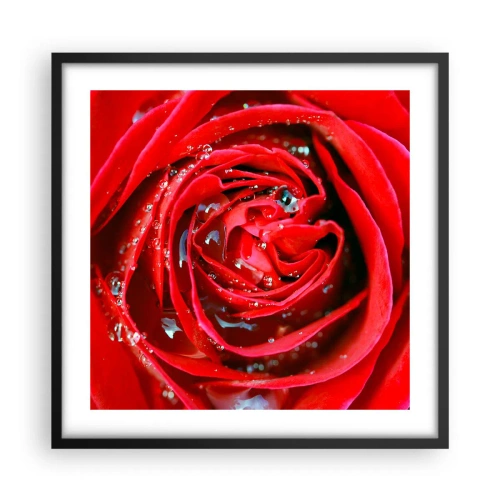 Poster în ramă neagră - În picături de rouă - 50x50 cm