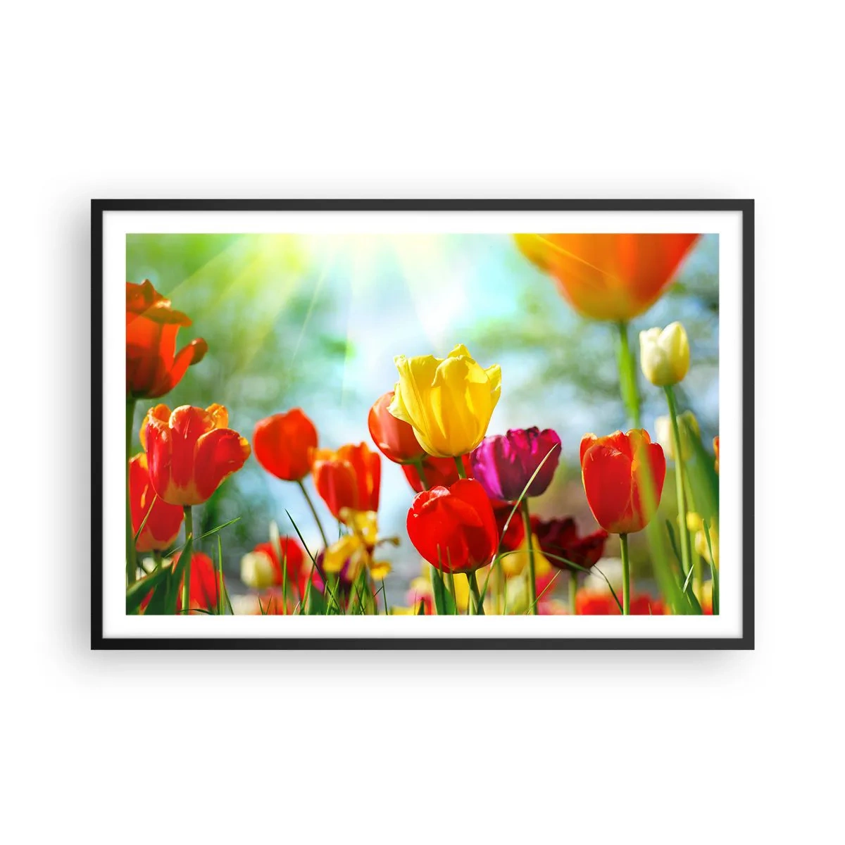 Poster în ramă neagră - Toate culorile soarelui - 91x61 cm