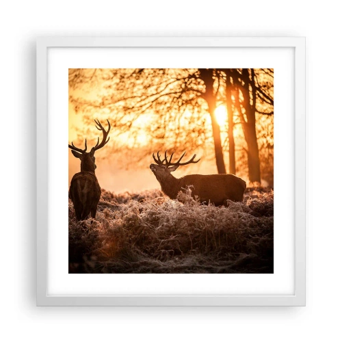 Poster în ramă albă - Visul unui vânător - 40x40 cm